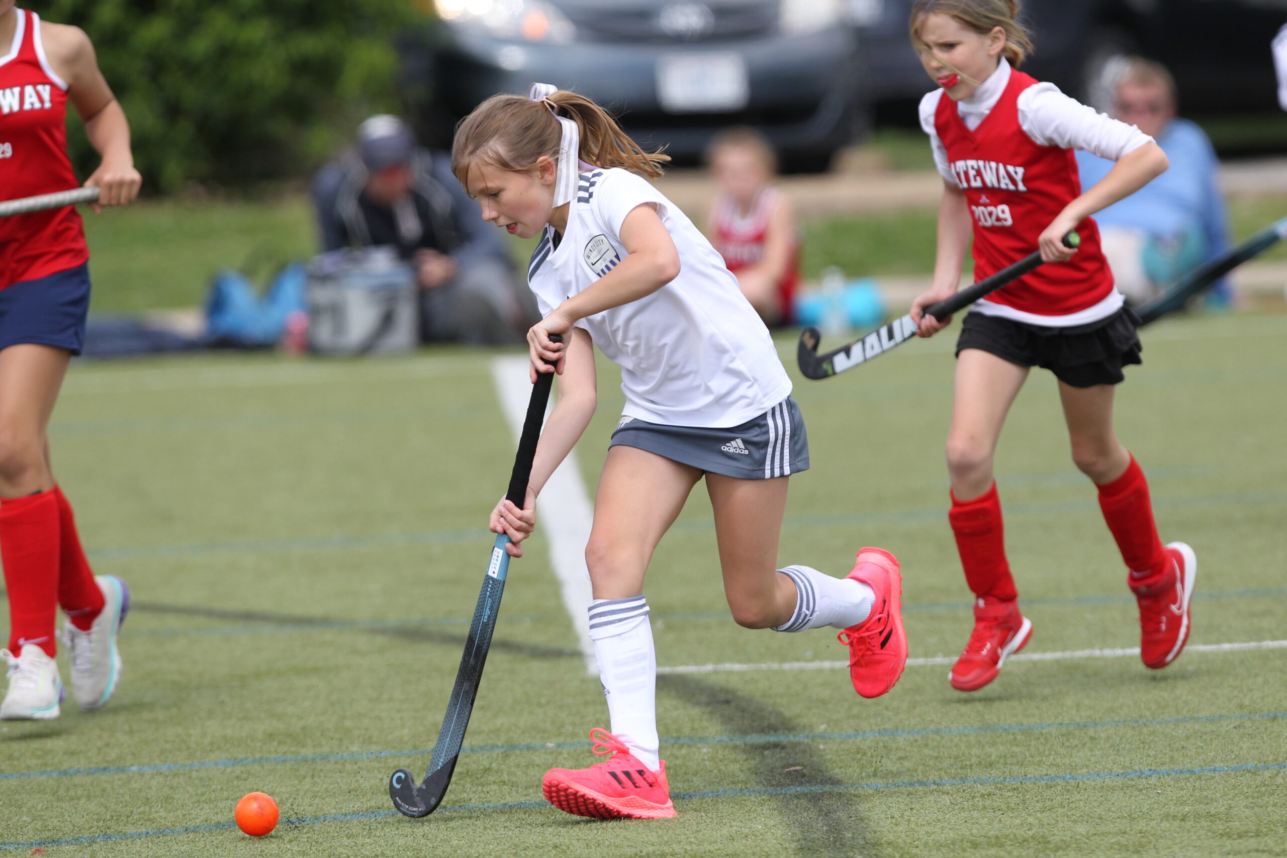 Programs Windy City Field Hockey