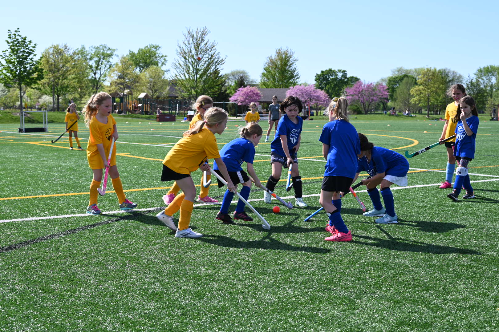 Our Mission Windy City Field Hockey